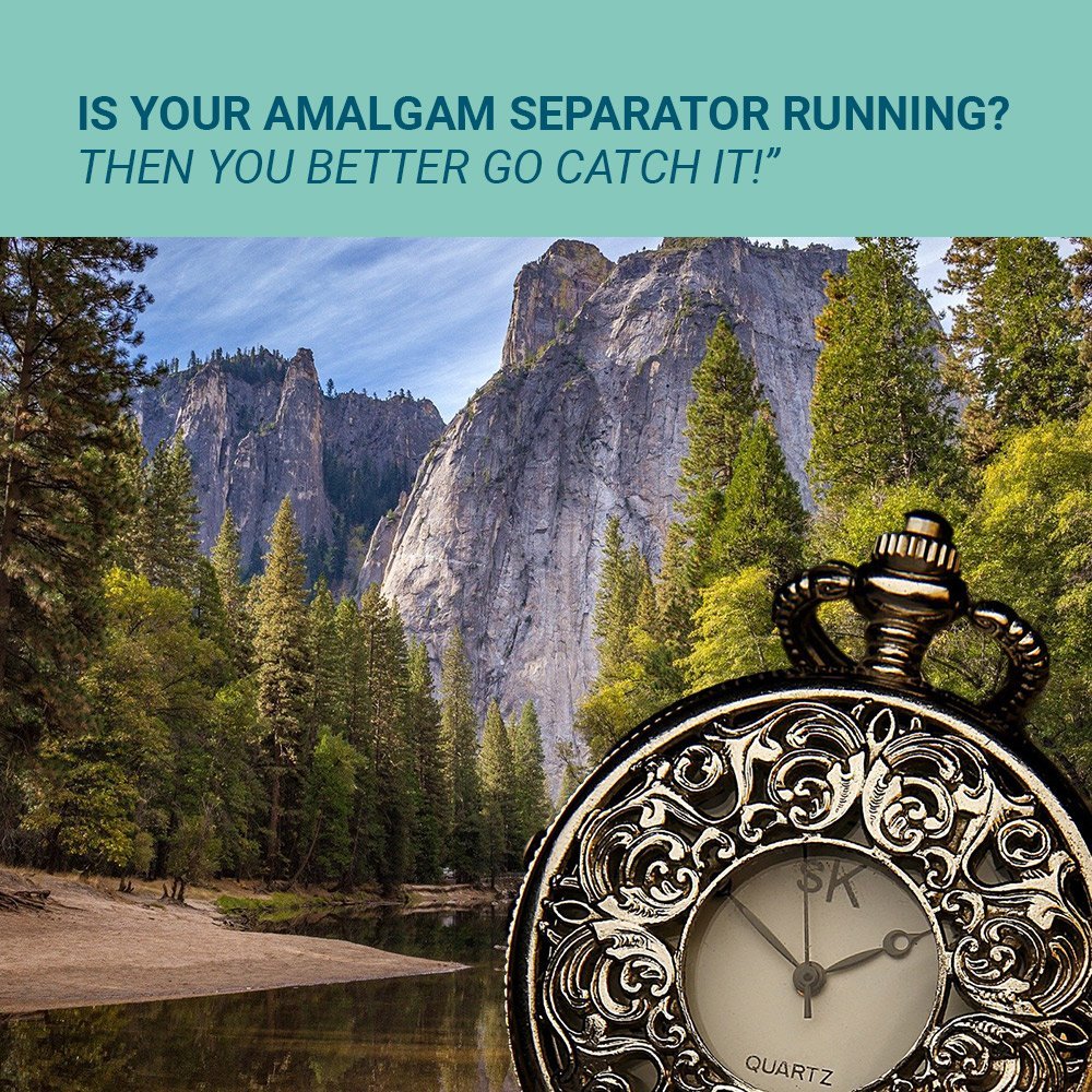 Is your amalgam separator running? Then you better go catch it! Image